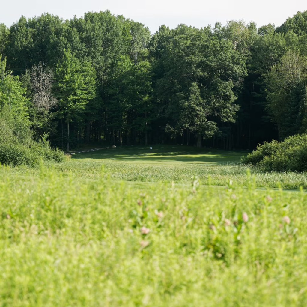 The Eldorado Golf Course 