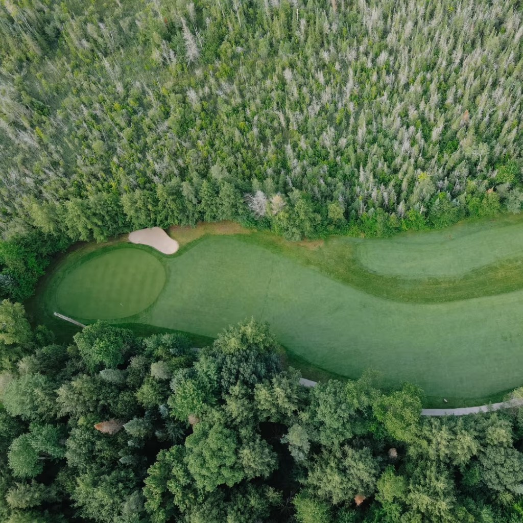 The Eldorado Golf Course 